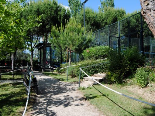 Liceo Europeo padel 10