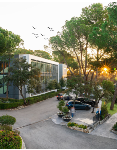 Edificio colegio americano Madrid Vermont Academy atardecer con pájaros