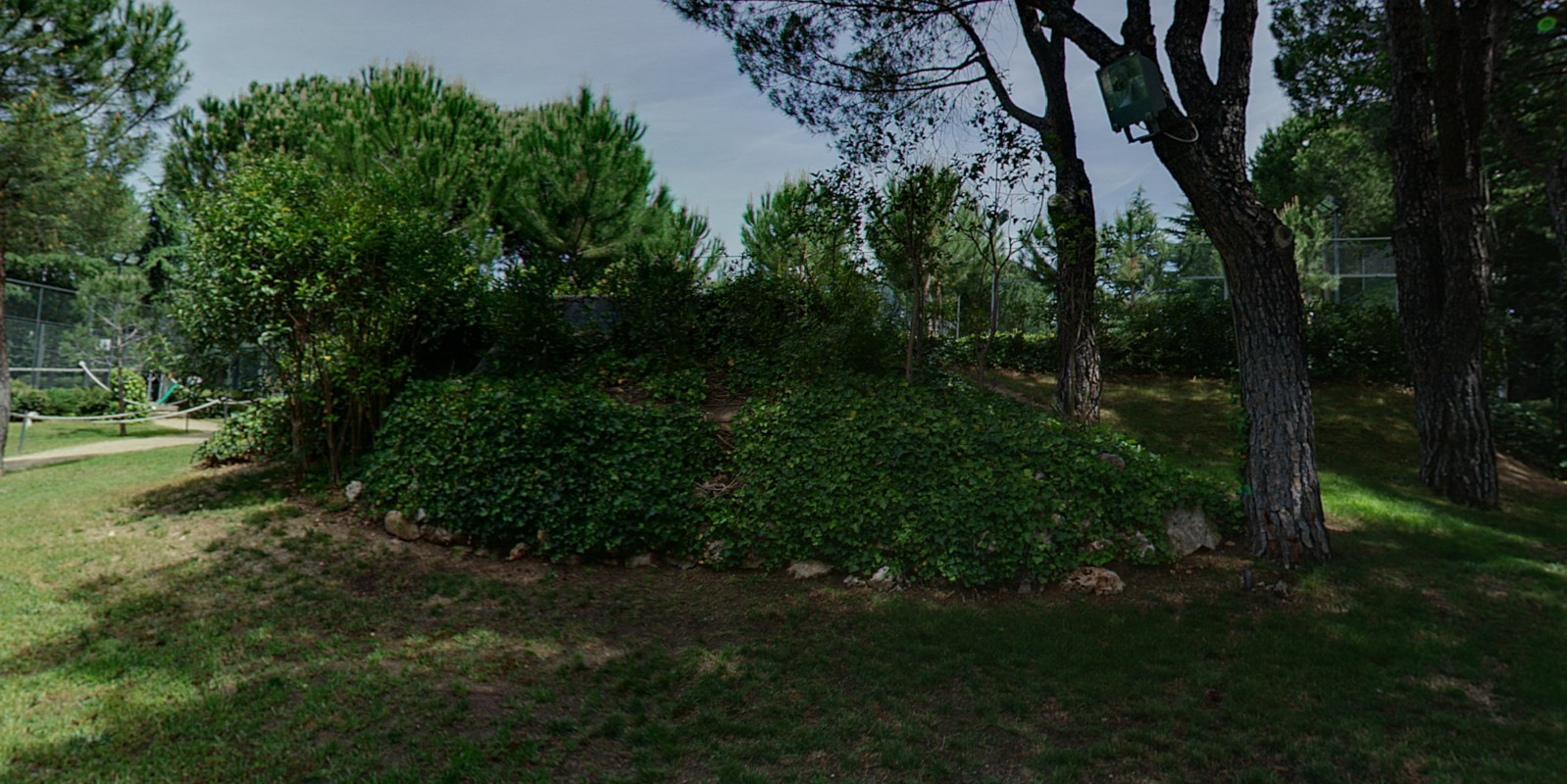jardines liceo europeo 1