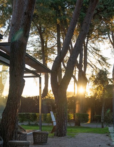 Sillas de descanso con naturaleza alrededor en el colegio Liceo Europeo