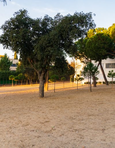 parque para niños de arena con árboles y bancos en Liceo Europeo