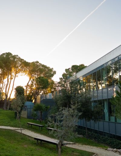 Edificio de colegio americano Madrid con grandes critaleras y naturaleza alrededor