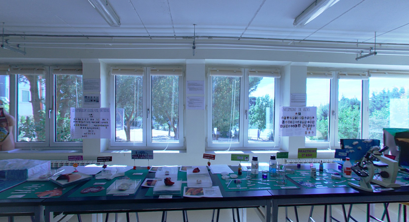 laboratorio ciencias liceo europeo 1